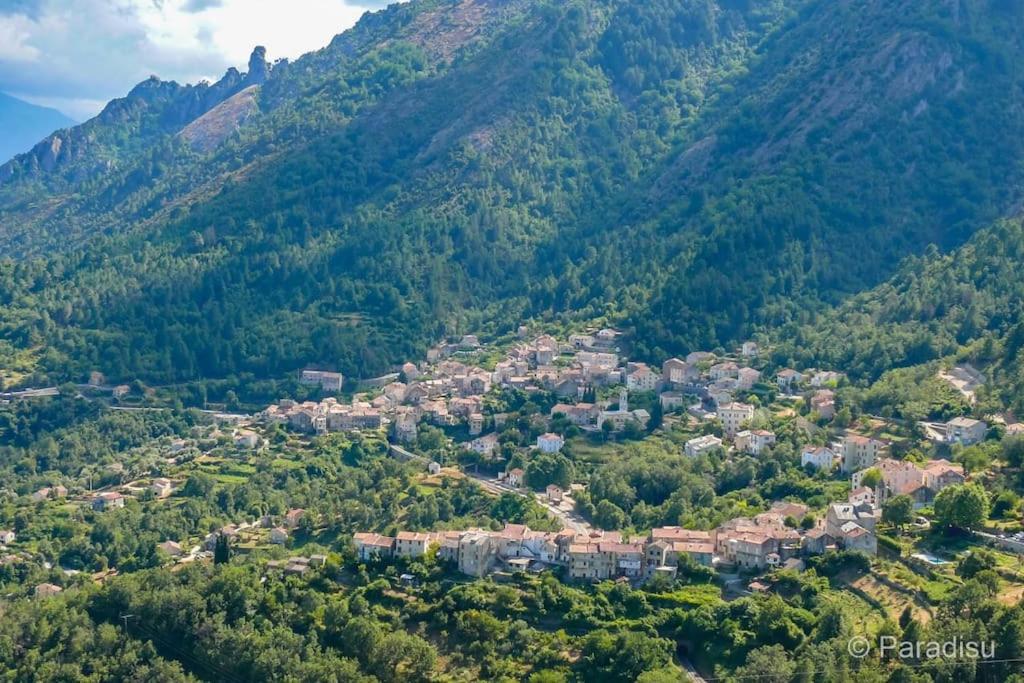 Studio Venaco Centre Corse 아파트 외부 사진